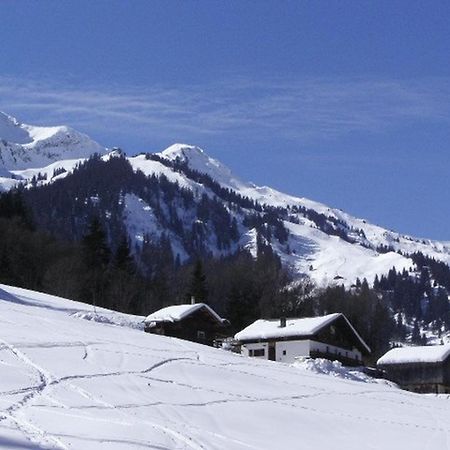 Charmant Studio 2/4 Pers A 200M Des Pistes, Balcon Sud, Animaux Admis - Fr-1-342-148 Beaufort  Exterior foto
